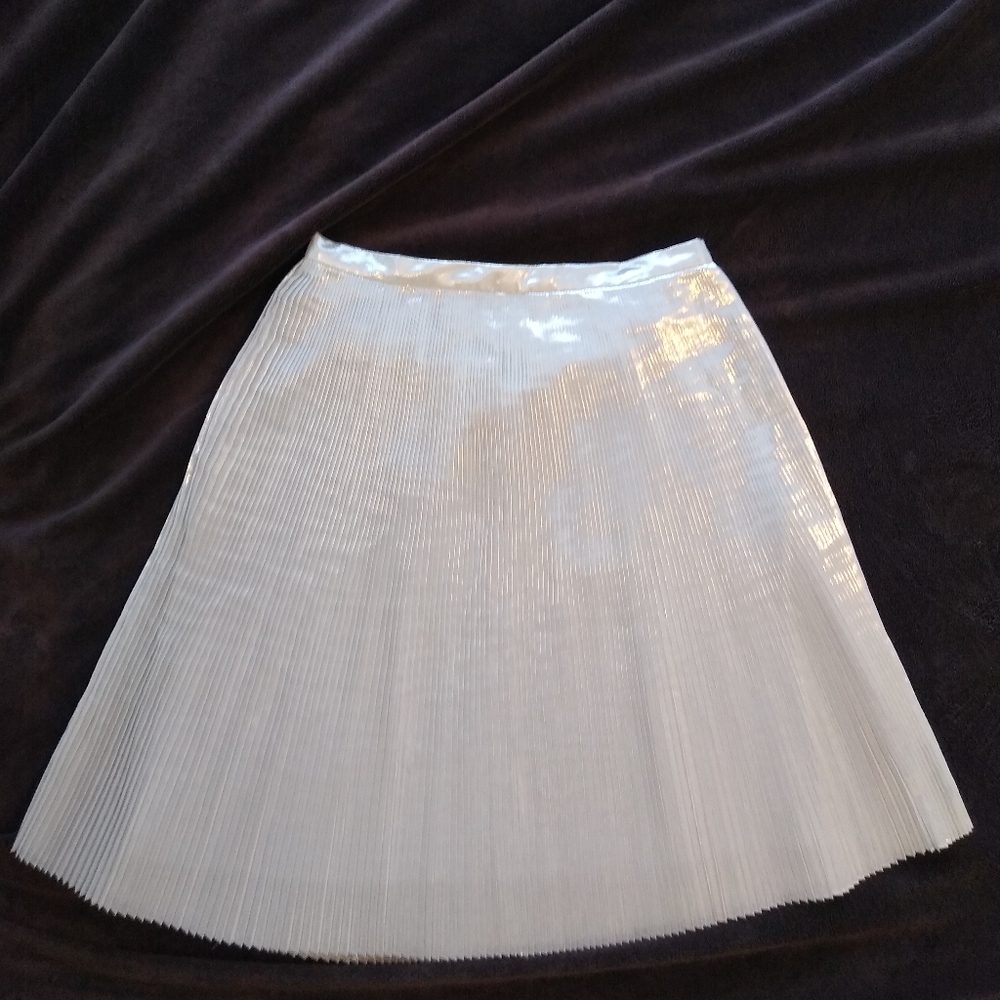 NWT Silver Talbot's Skirt